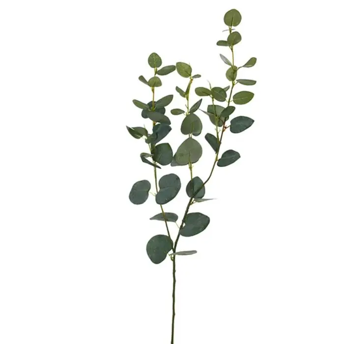 Eucalyptus medium grijs 75 cm | Direct kopen