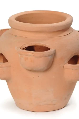 Profiteer nu - Aardbeienpot