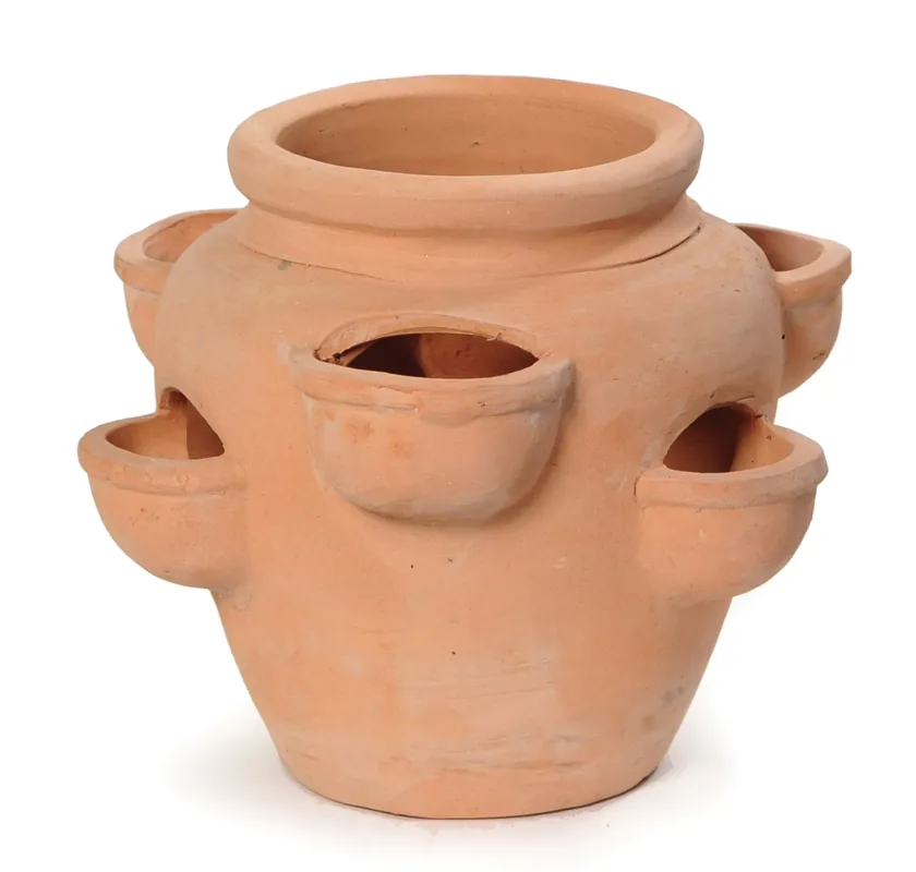 Profiteer nu - Aardbeienpot