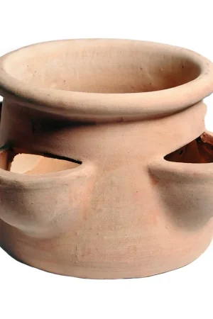 Whitewash aardbeien pot 4kopjes d35h20 | Direct beschikbaar