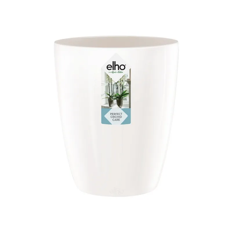 Rechtstreeks uit de fabriek - Diamond orchidee hoog 12,5cm