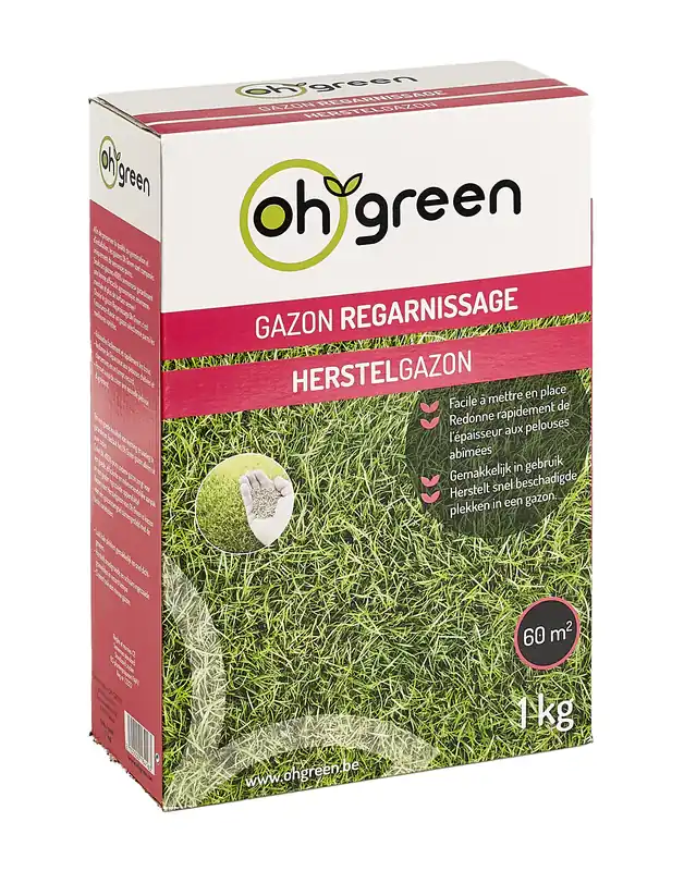 Flitsaanbieding | Gazonzaad herstelgazon 1kg
