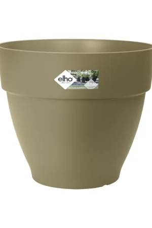 Zeer goed beoordeeld | ROND 20CM SALIEGROEN
