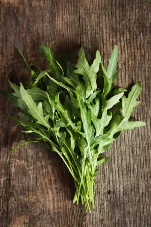 Zaden rucola wild - Direct kopen