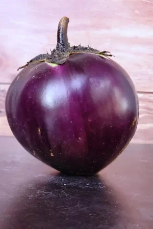 Zaden aubergine ronde de valence | Sale