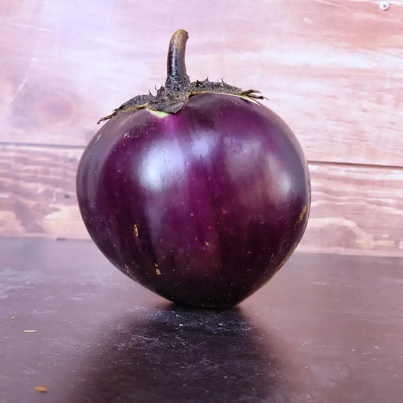Zaden aubergine ronde de valence | Sale
