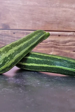 Zaden courgette verte d‘italie - Deal