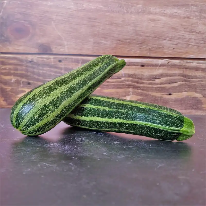 Zaden courgette verte d‘italie - Deal