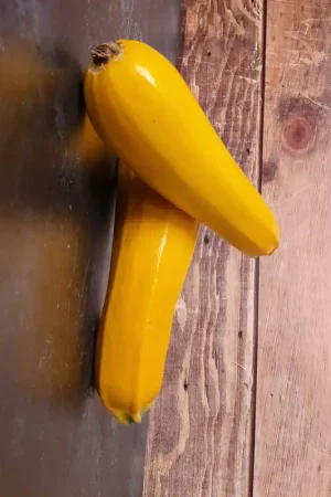 Zaden courgette geel - Prijsverlaging