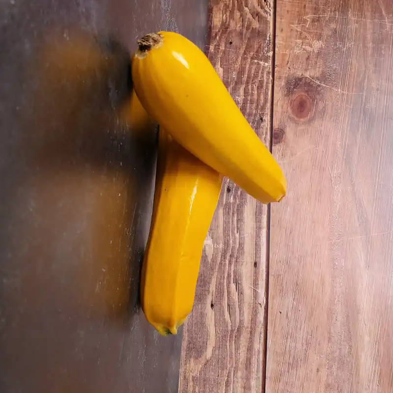 Zaden courgette geel - Prijsverlaging