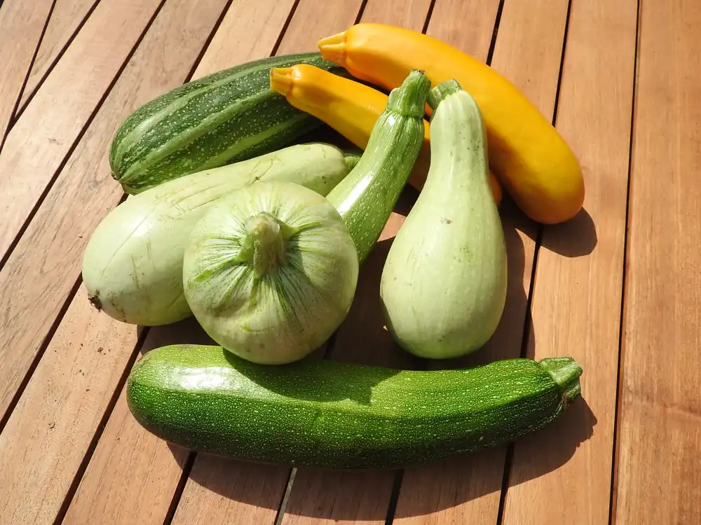 Zaden courgette mengeling - Klantfavoriet