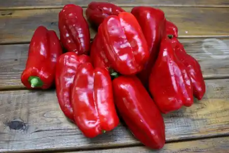 Zaden zachte paprika uit spanje - Aanbieding