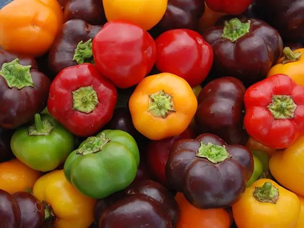 Zaden paprika mini bell mix | Voeg toe aan winkelwagen