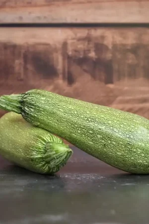 Zaden courgette petite grise d‘alger | Nog enkele stuks