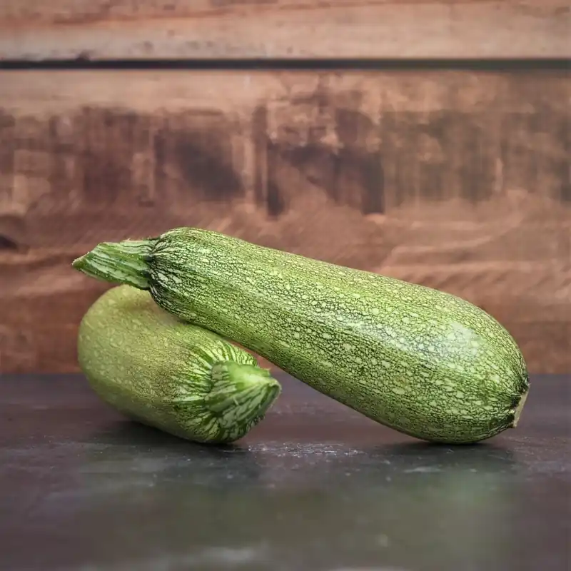 Zaden courgette petite grise d‘alger | Nog enkele stuks