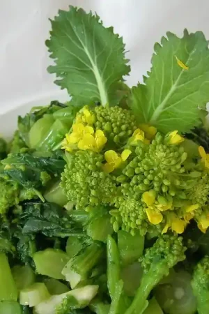 Zaden raapstelen cima de rapa - Voorraad bijna op