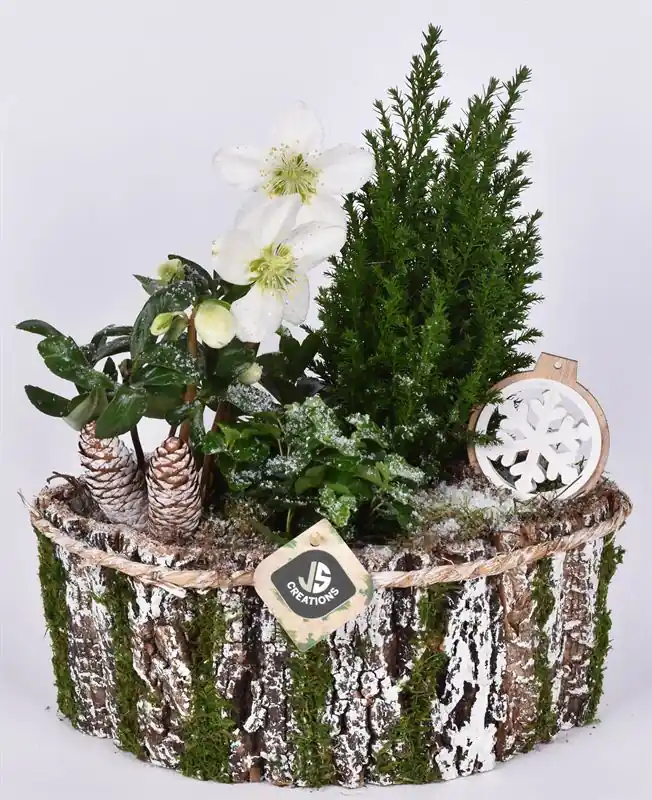 Erg populair - Jutemand met oor hout