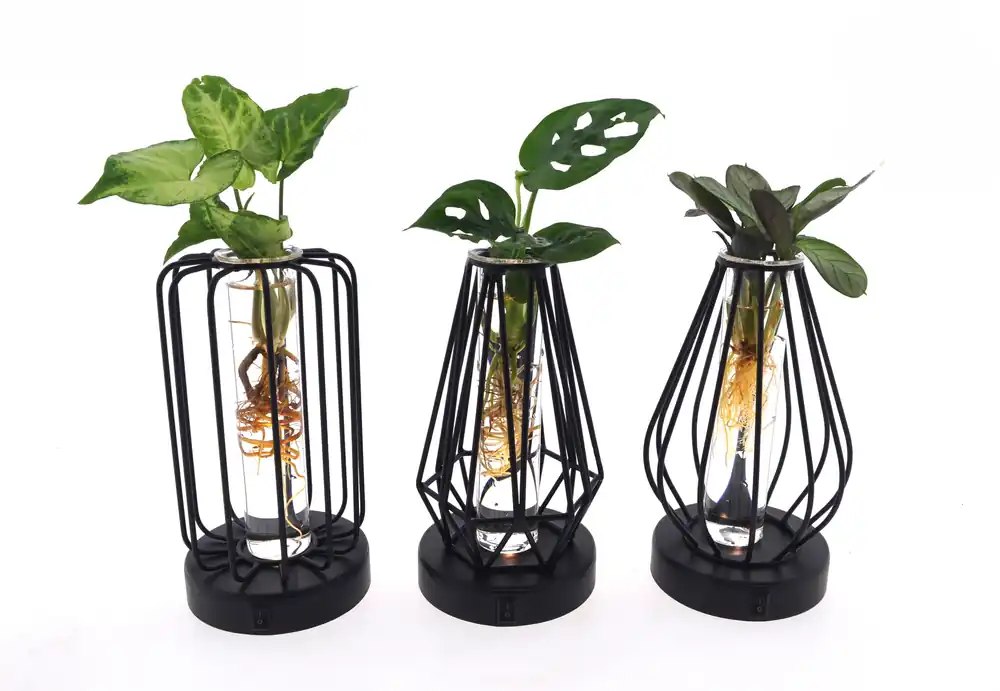 Groenmix in glas + led - Trending