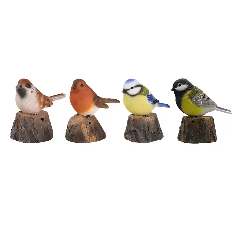 Welkom vogel | Klaar voor verzending