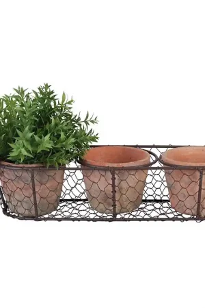 3 potjes in draadmand - Premiumkwaliteit