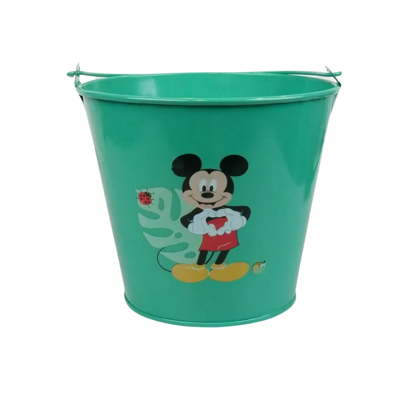 Emmertje mickey 2 | Bestel nu