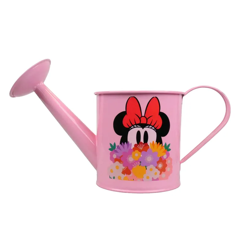 Actie | Gieter minnie 1