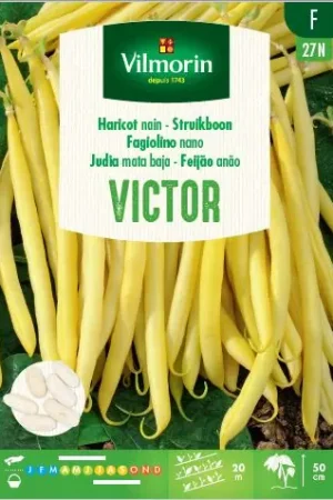 Topkwaliteit - Zaden struikboon victor 100g