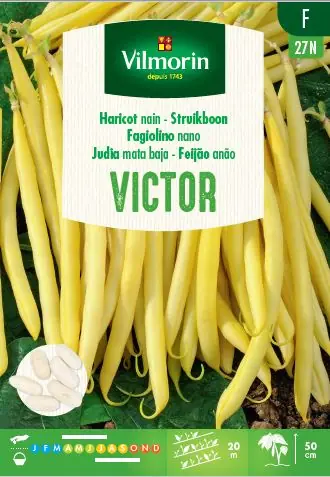 Topkwaliteit - Zaden struikboon victor 100g