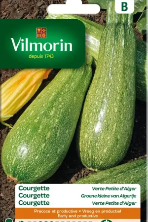 Meest verkocht - Zaden courgette groene kleine van algerije 5g