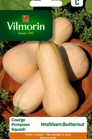Zaden pompoen waltham butternut 2g - Zojuist toegevoegd