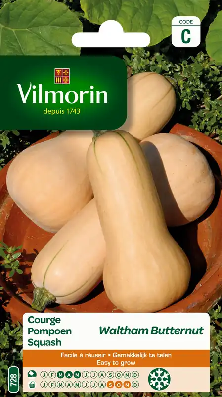 Zaden pompoen waltham butternut 2g - Zojuist toegevoegd