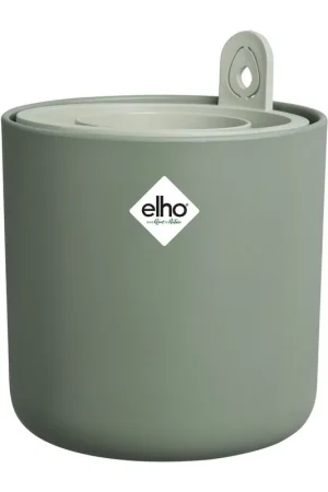 Amazing avocado pot - Topdeal