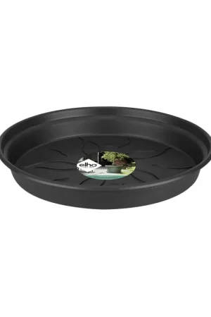 Dagdeal - Green basics schotel 25 living black