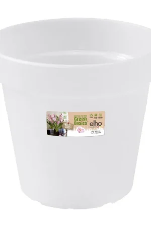 Actie - Green basics orchidee 13