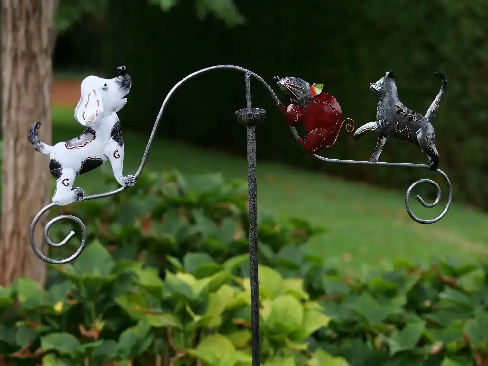 Balans kat - muis - hond - Erg populair
