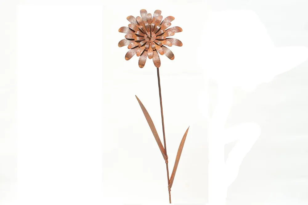 Superprijs | Wildebloem