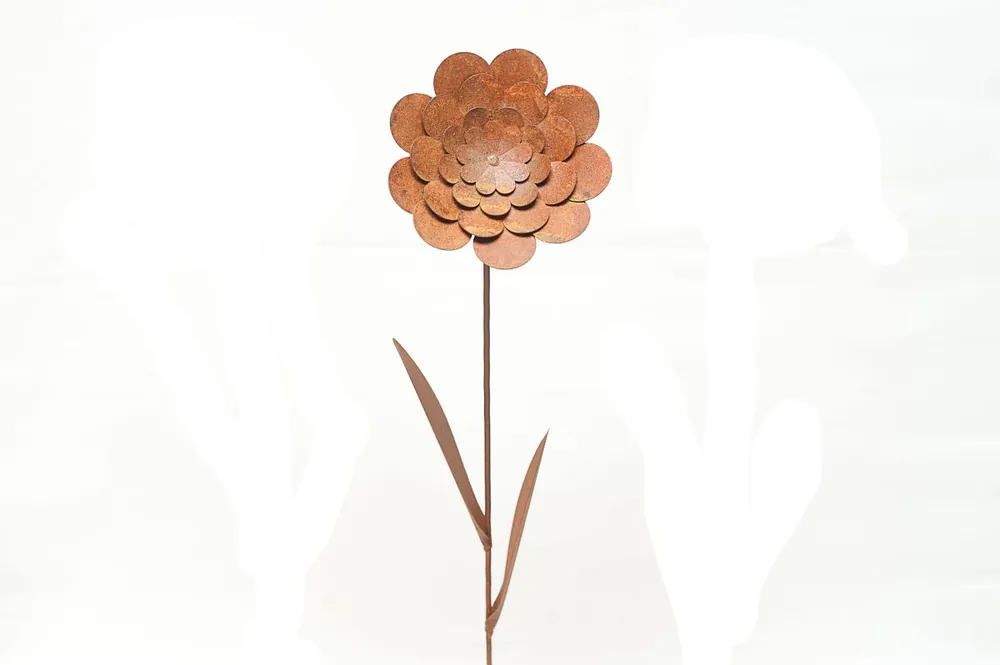 Prijsverlaging - Wildebloem