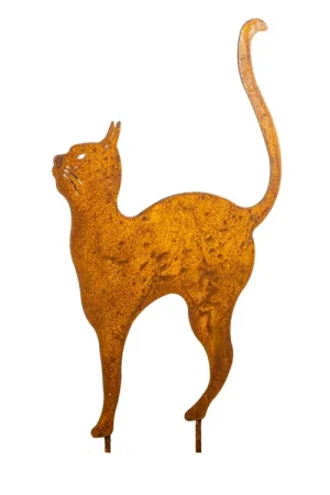 Poes op piek | Flitsaanbieding