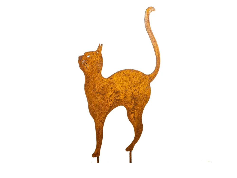 Poes op piek | Flitsaanbieding