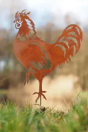 Nieuw in het assortiment | Haan