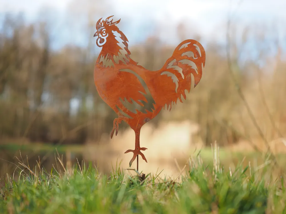 Nieuw in het assortiment | Haan