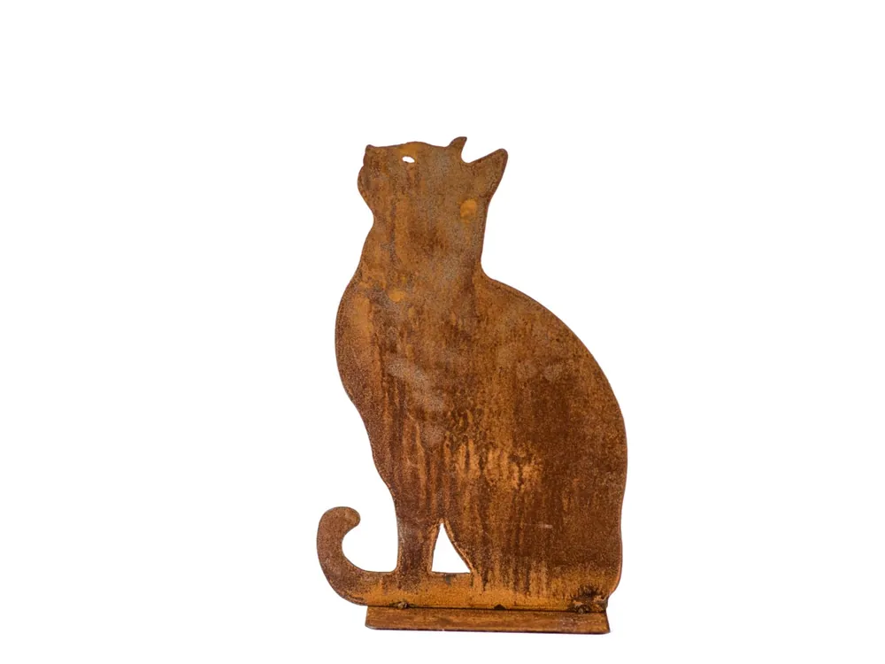 Slechts tijdelijk | Poes zittend