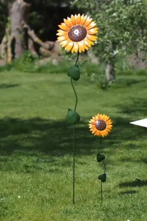 Zonnebloem | Veilig winkelen