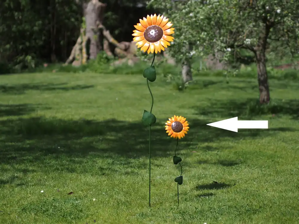 Zonnebloem | Veilig winkelen
