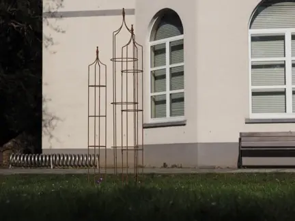 Actieprijs | Set van 3 plantensteunen