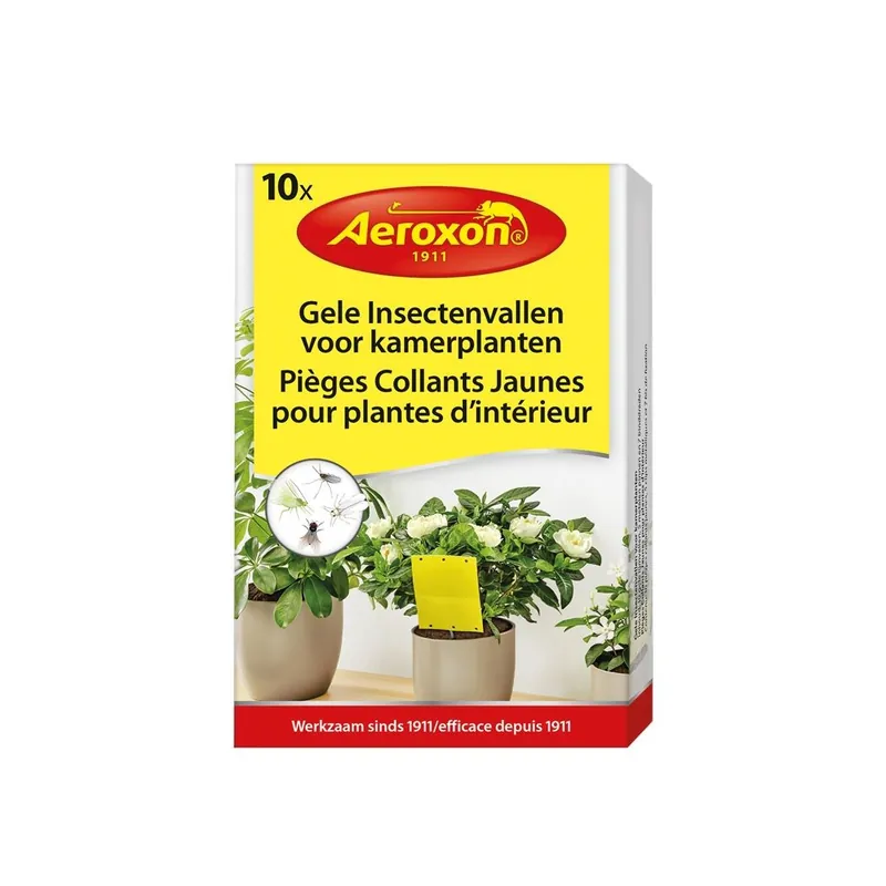 Gele insectenvallen voor kamerplanten | Bijna uitverkocht