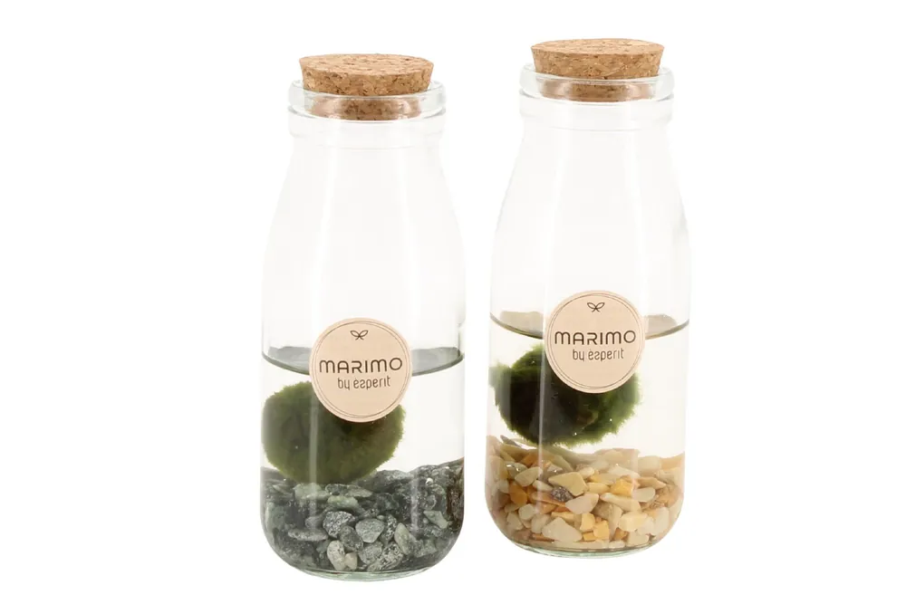 Actie loopt bijna af - Terrarium