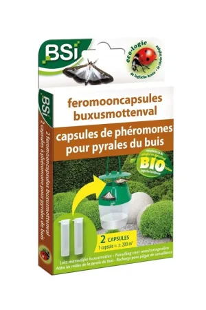 Feromooncapsules buxusmottenval 2 stuks - Aanbieding