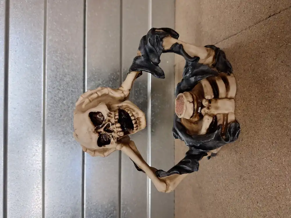 Skelet buste hoofd in handen | Hoog gewaardeerd