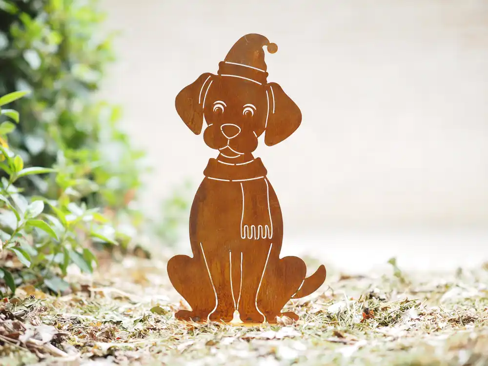 Hond met sjaal en kerstmuts op basis | Alleen deze week